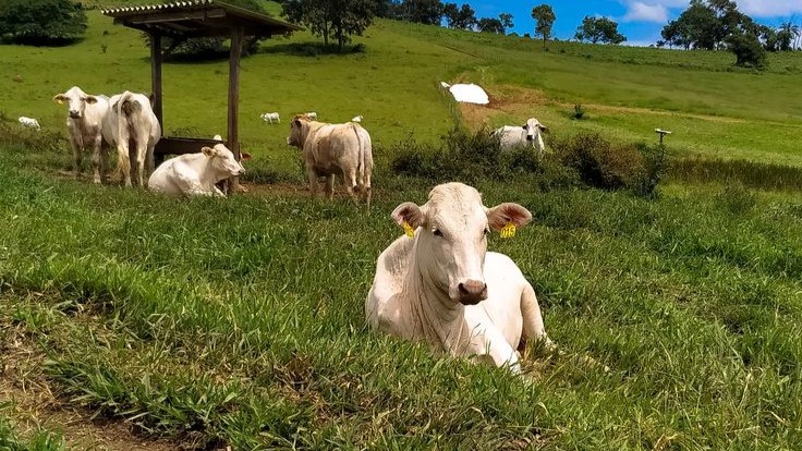 Angola Rural Tour das Fazendas - Colectivo