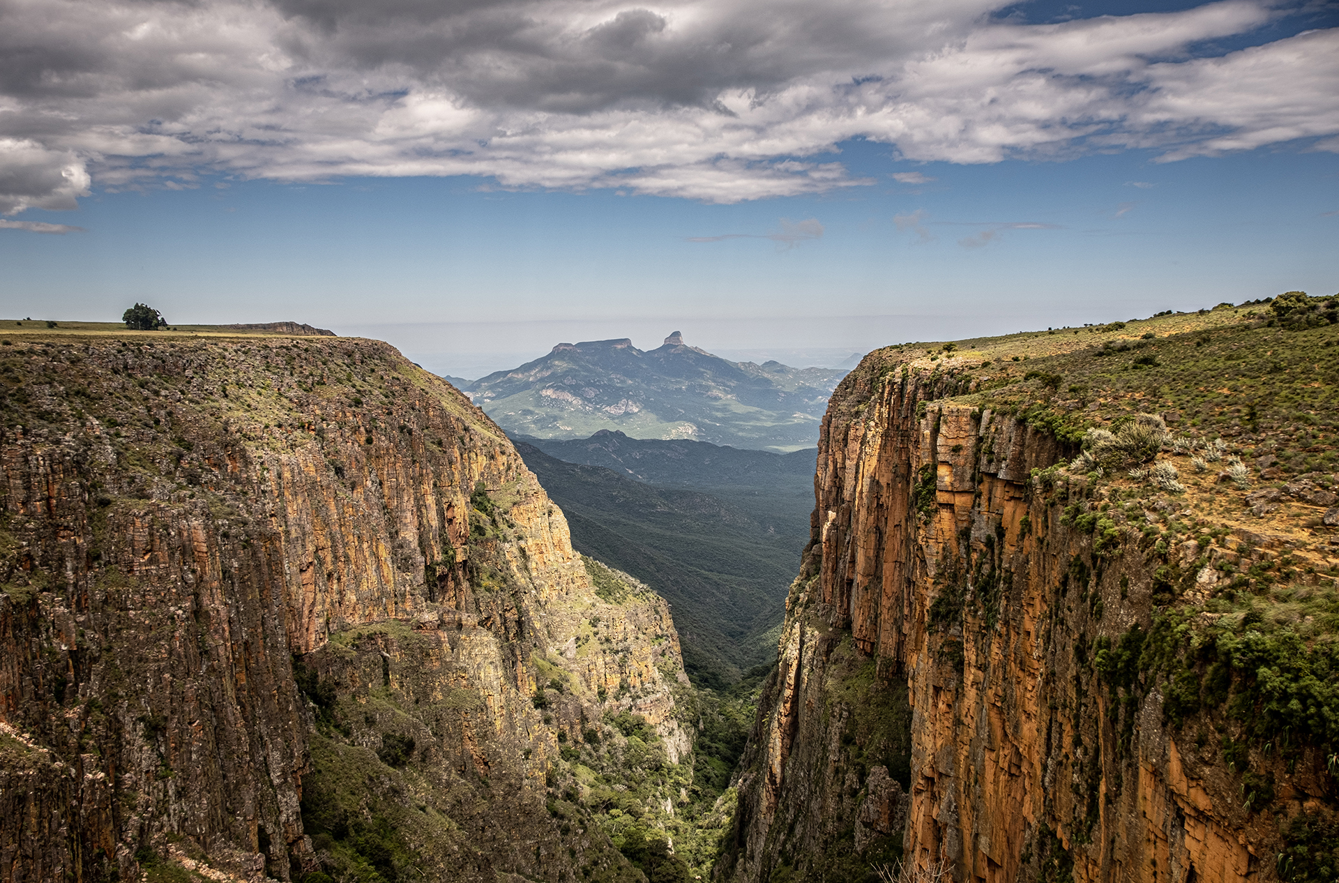 Das Acácias Rubras ao Planalto da Huíla - Colectivo
